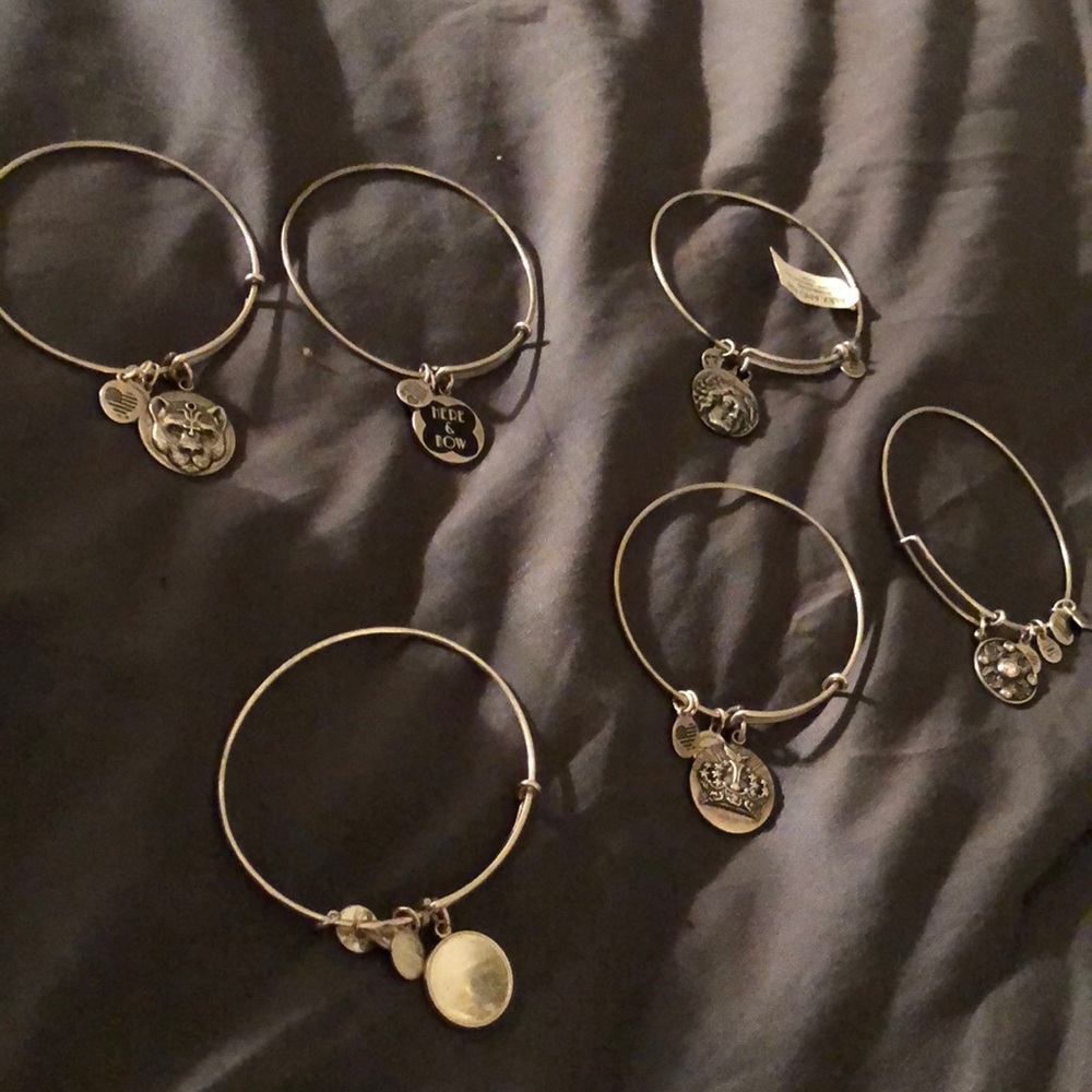 Lot 6 Alex and Ani